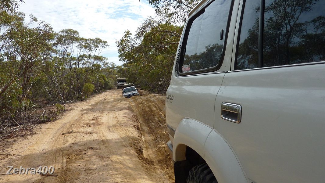 27-Zebra watches Manky drive down the boggy Border Track .JPG